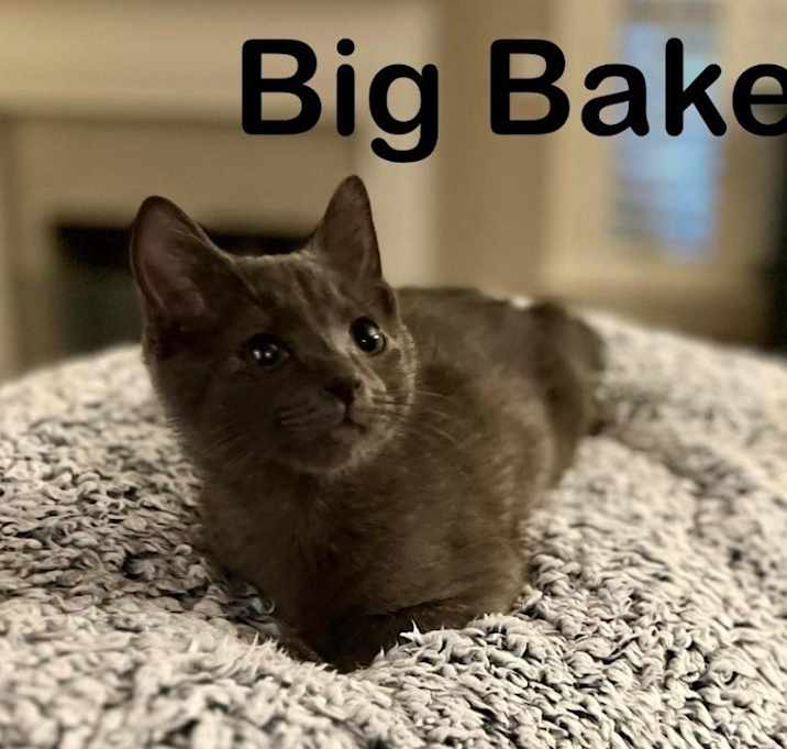 Photo of Big Baker