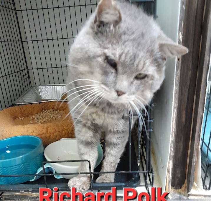 Photo of Richard Polk