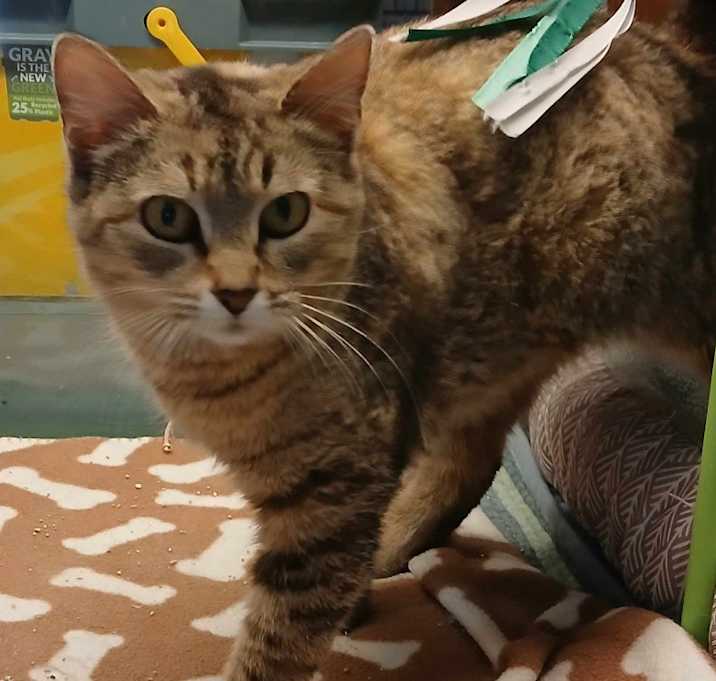 Photo of Winnie