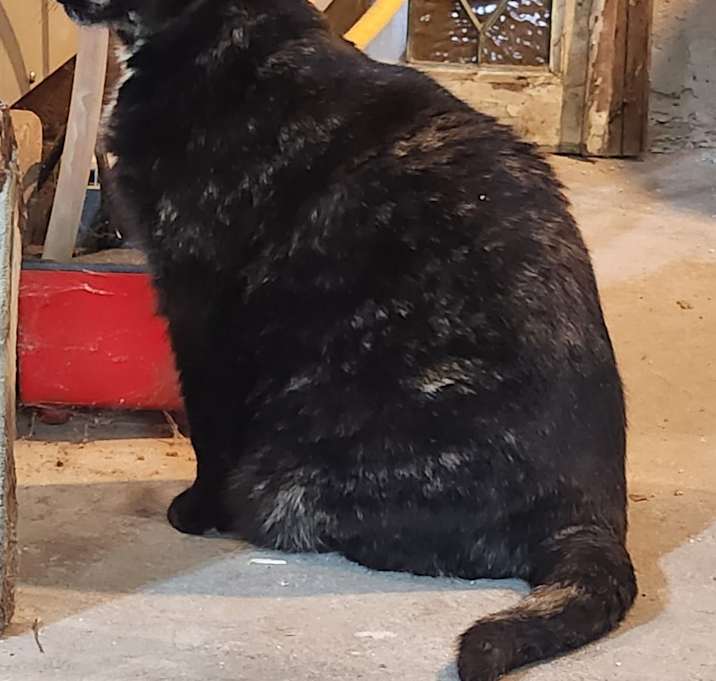 Photo of Gertrude