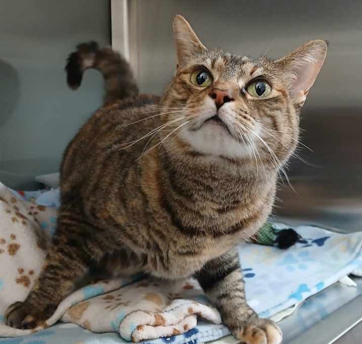 Photo of Twyla