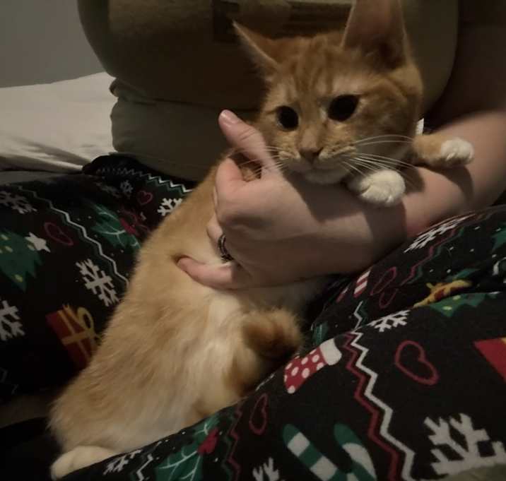 Photo of Sunny