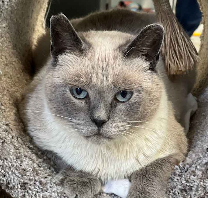 Photo of Button