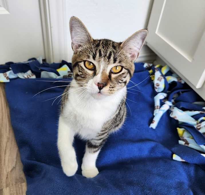 Photo of Jack