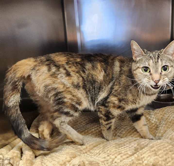 Photo of Luna