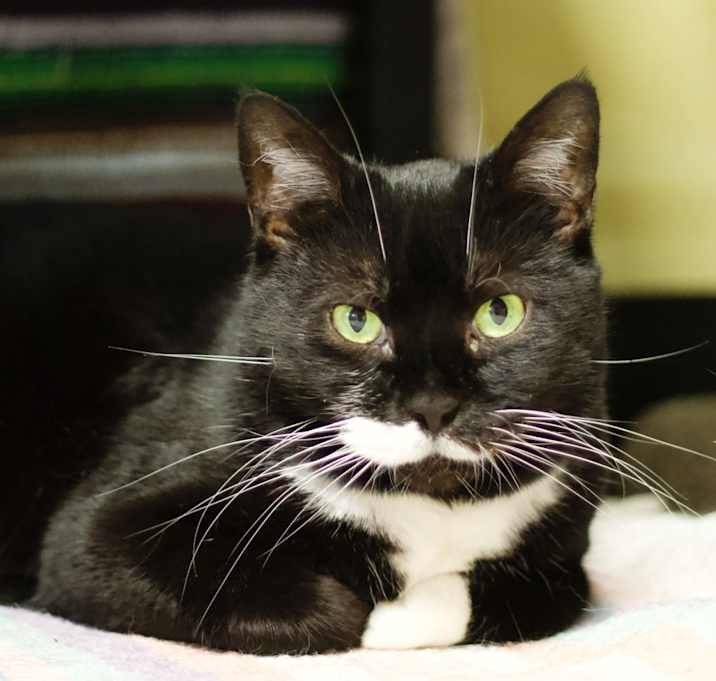 Photo of Nellie