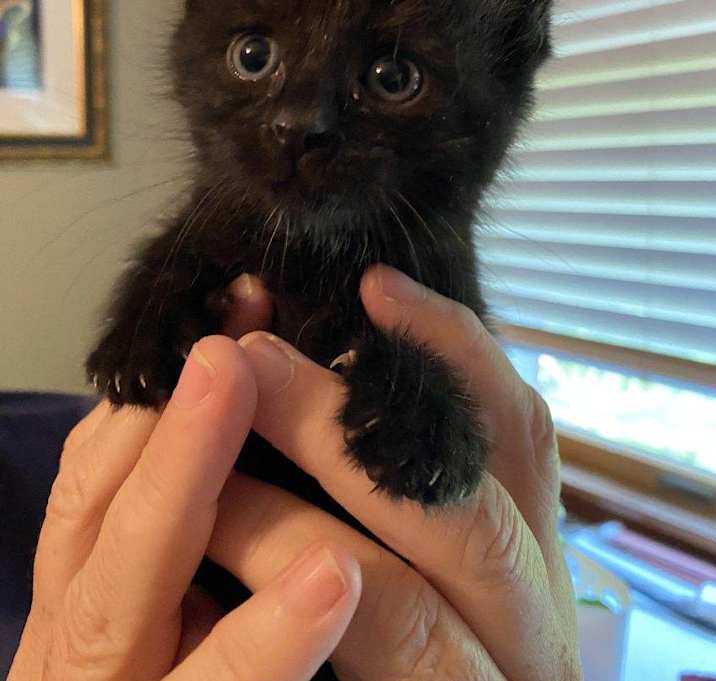 Photo of Pepper Pot