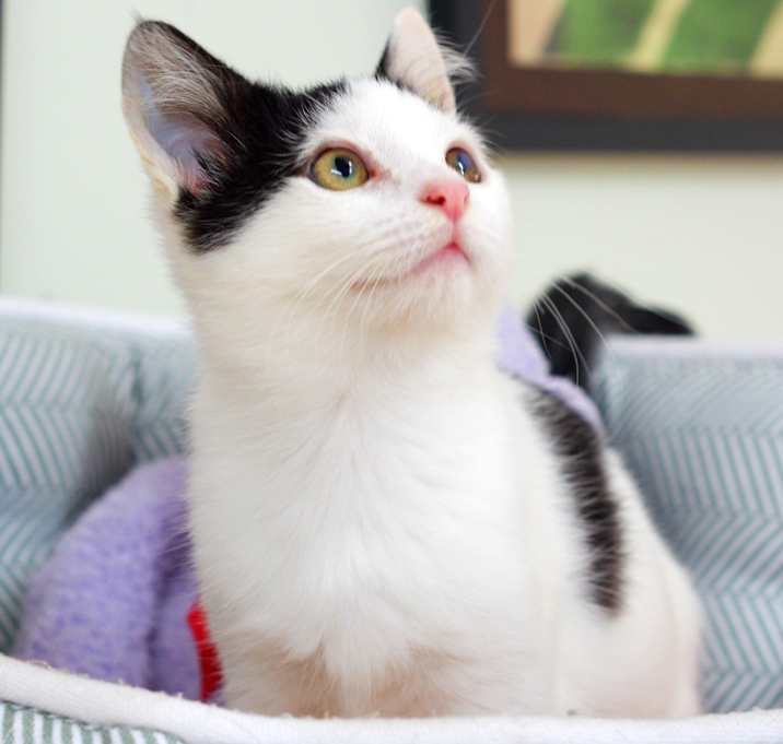 Photo of Theodore