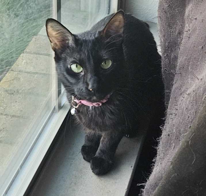 Photo of Zara