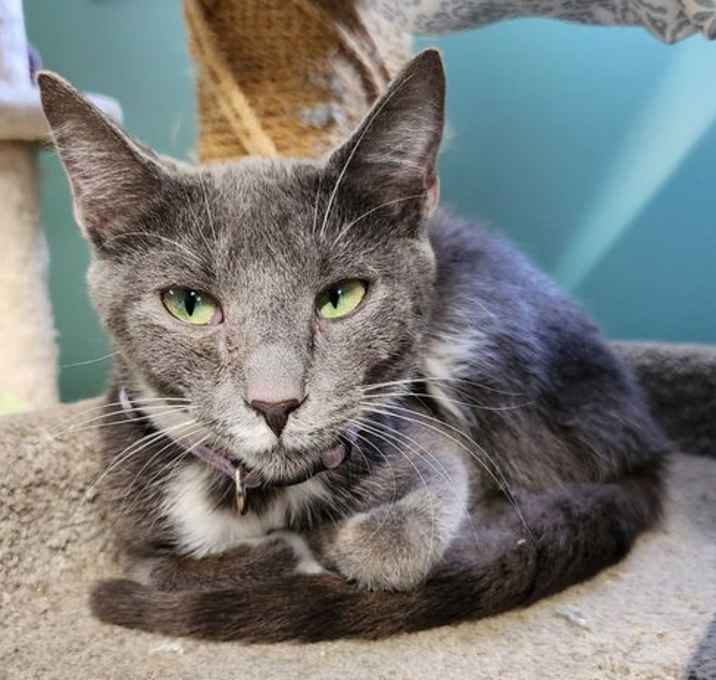 Photo of Winkin