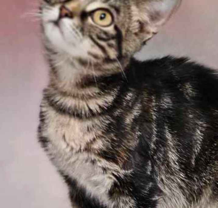 Photo of BLANCHE