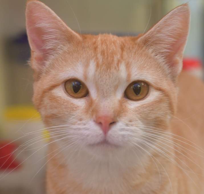 Photo of Rippley