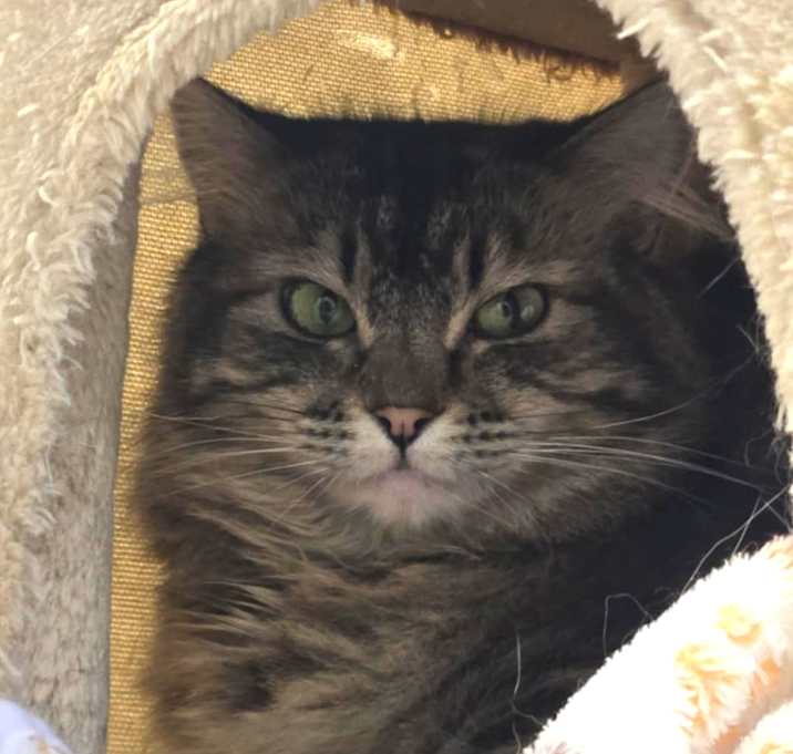 Photo of Mavis