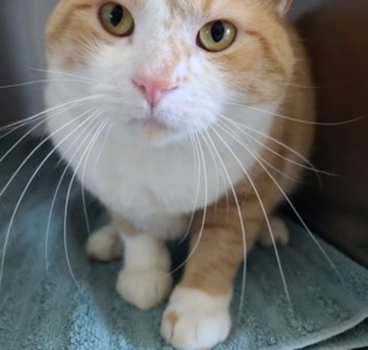 Photo of Oliver
