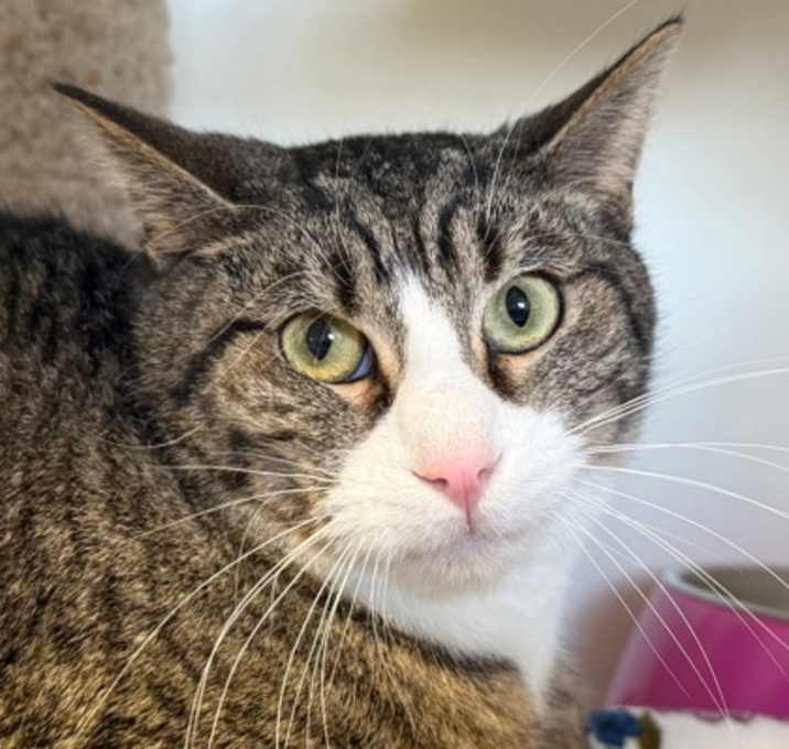 Photo of Fred