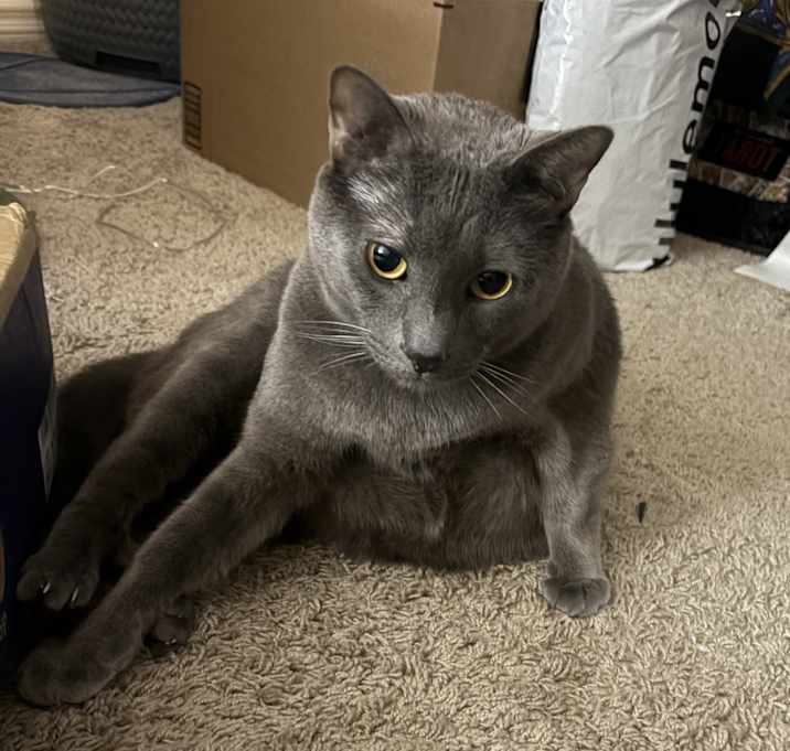 Photo of Astro