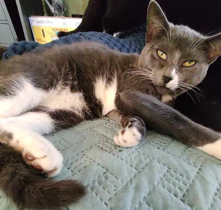 Photo of Tommy