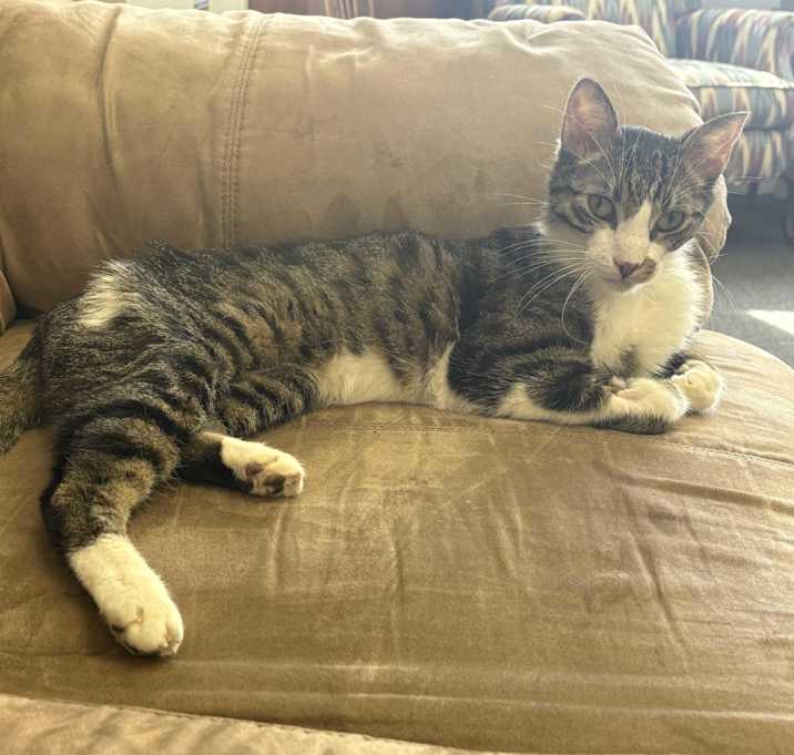 Photo of Victor
