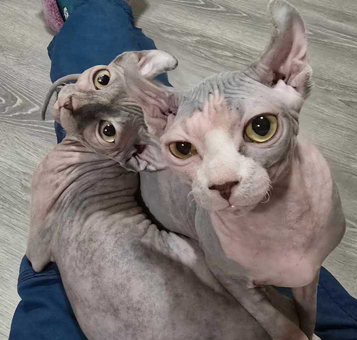 Photo of Nova (and Thumbelina)
