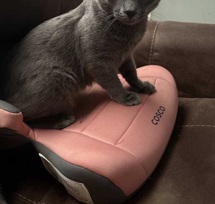 Photo of Tyler