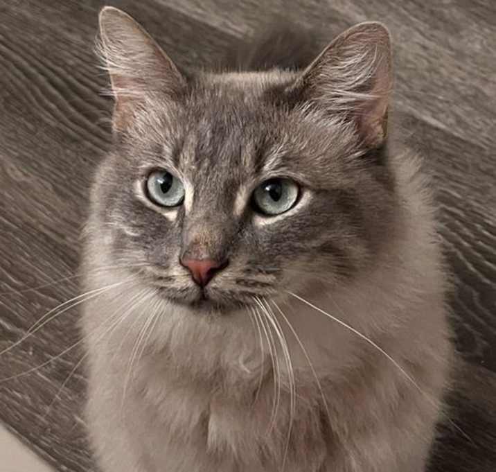 Photo of Momo