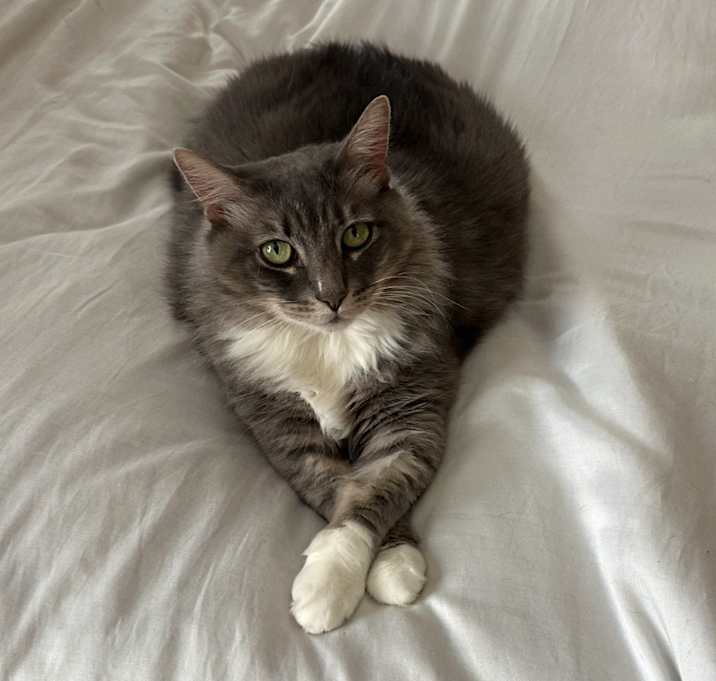 Photo of Chloe V