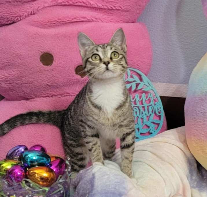 Photo of Cindy Lou Hoo