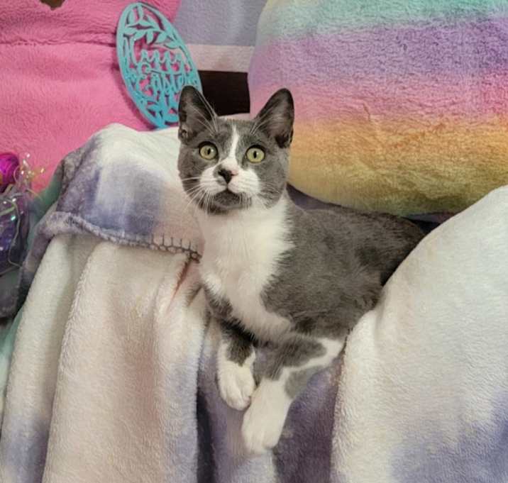 Photo of Jack Frost