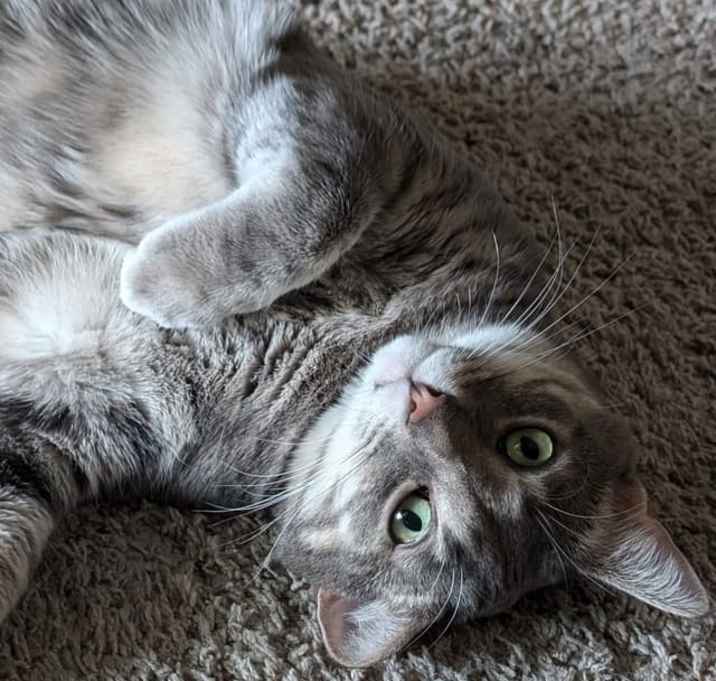 Photo of Agate/ Luca