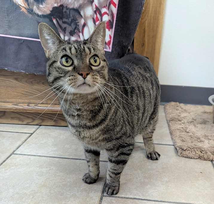 Photo of Squirt