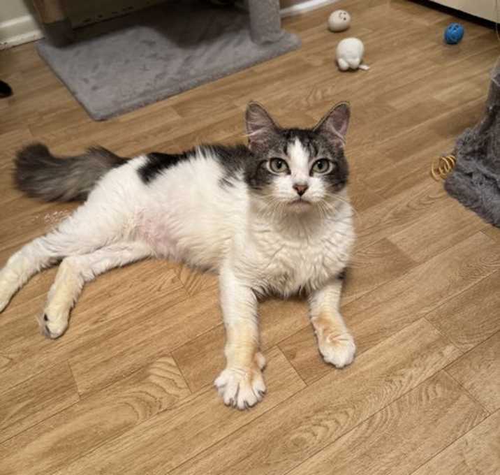 Photo of Wobbles