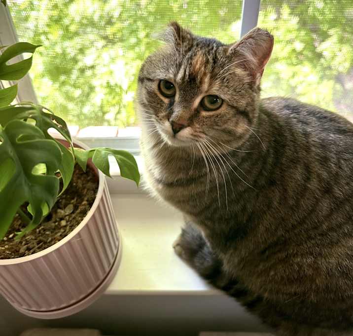 Photo of Agatha