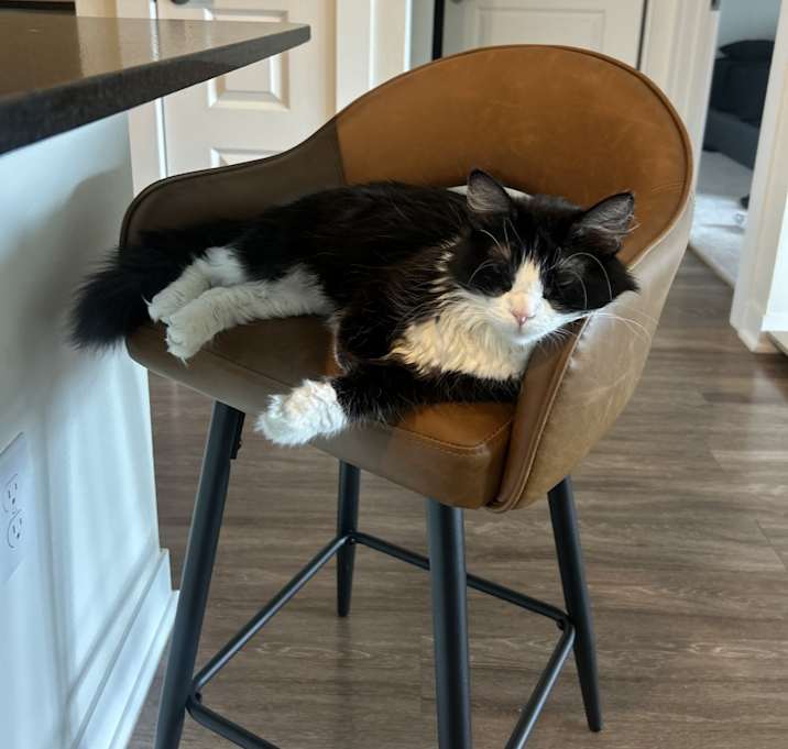 Photo of Jade