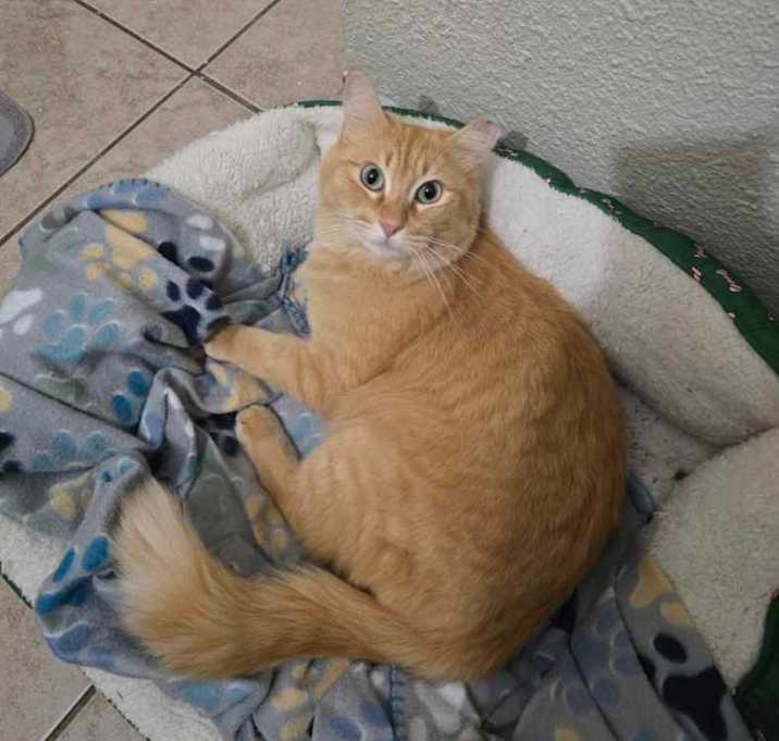 Photo of Sherbie