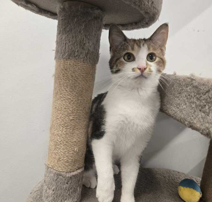 Photo of Betsy