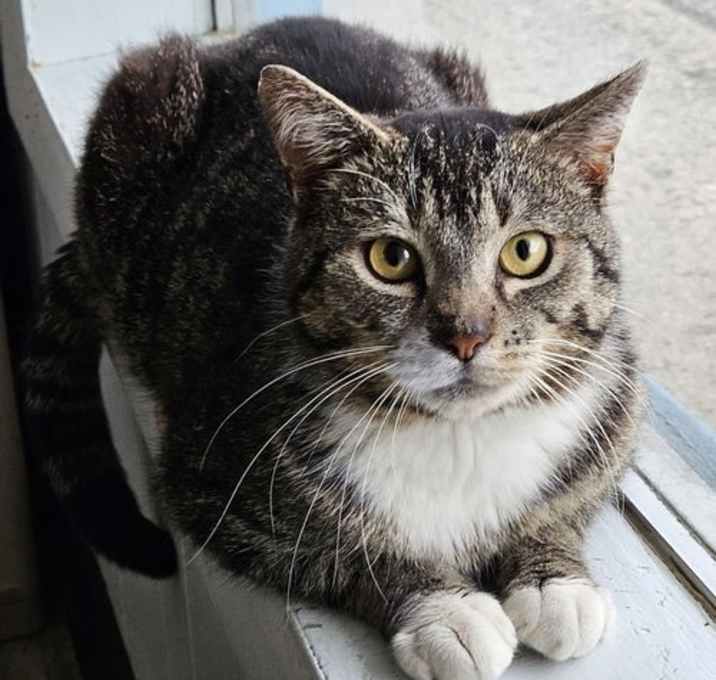 Photo of Uno