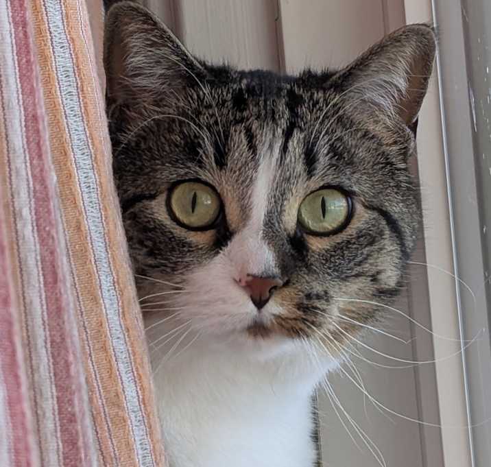 Photo of Marie