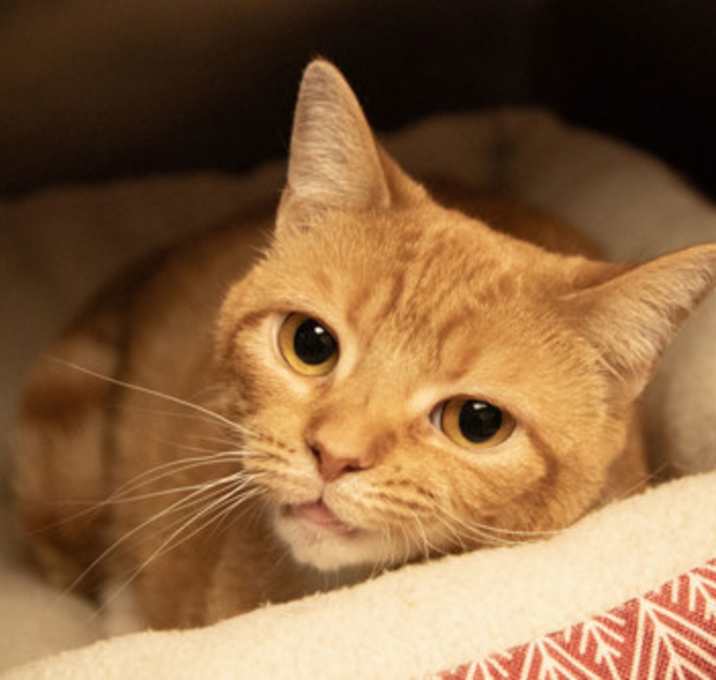 Photo of Thumbelina
