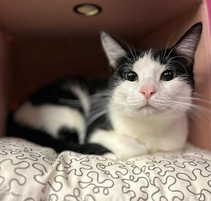 Photo of Penny