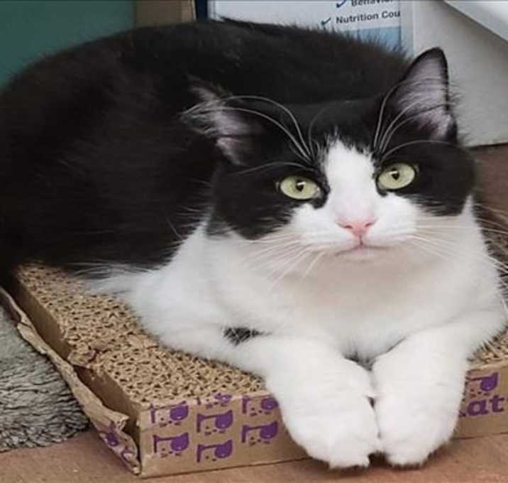 Photo of MISS PITA