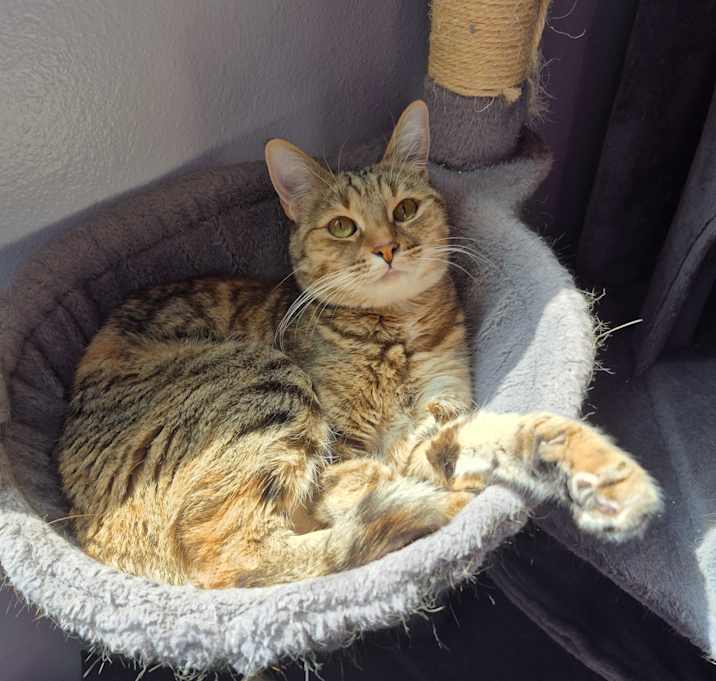 Photo of Skye