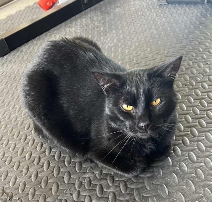 Photo of Charlie