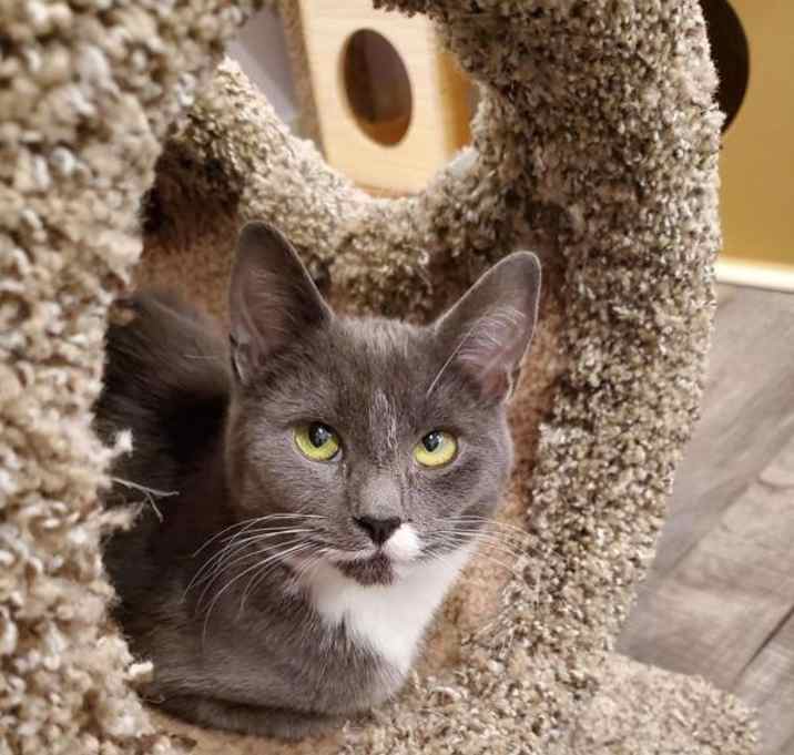 Photo of Cindy