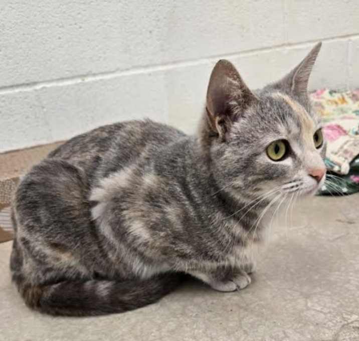 Photo of Tabitha