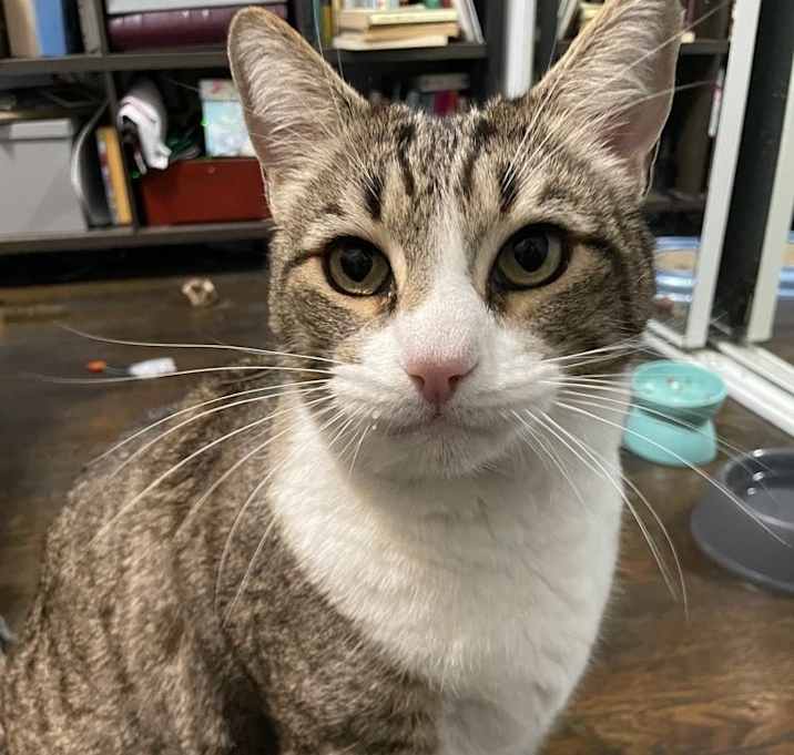 Photo of Max