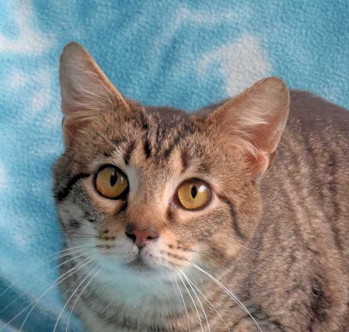 Photo of Murphy