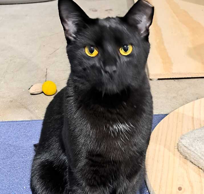 Photo of Zeke