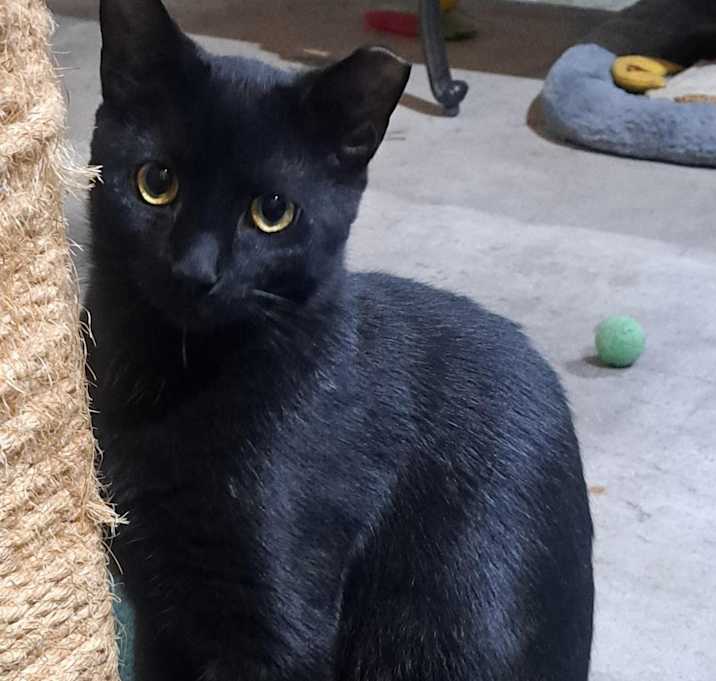 Photo of Levi