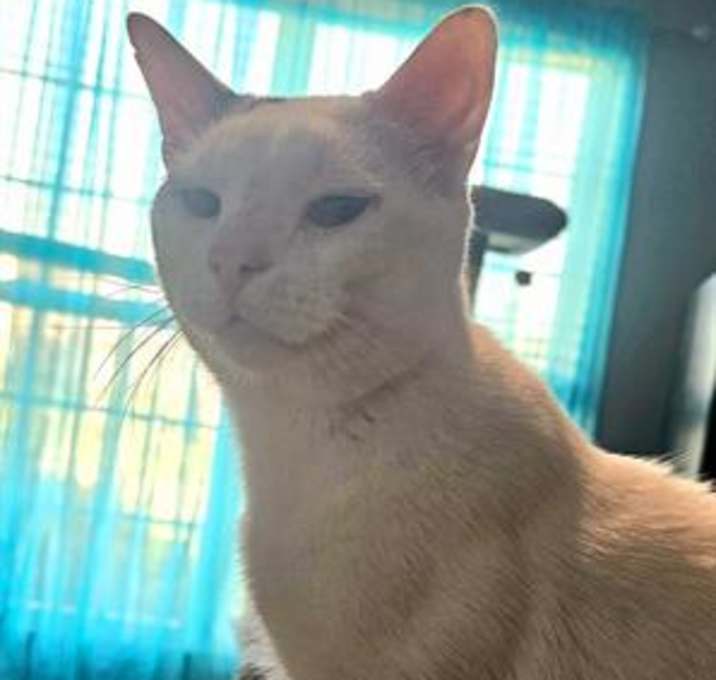 Photo of REX