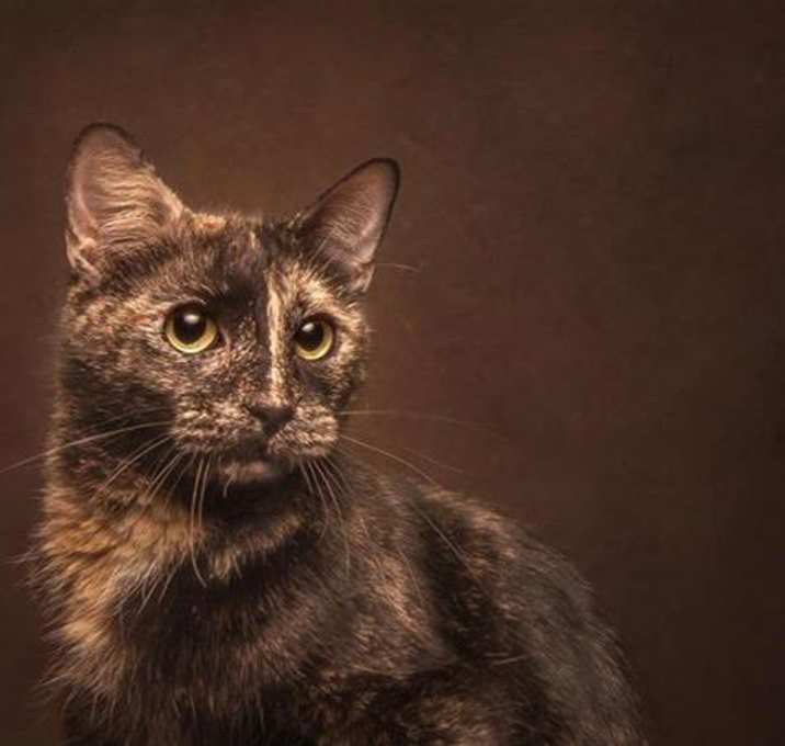Photo of ZEKA